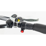 Rower elektryczny składany Jobobike Sam 20"
