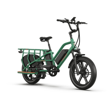 Rower elektryczny transportowy Cargo Jobobike Transer Zielony 20"